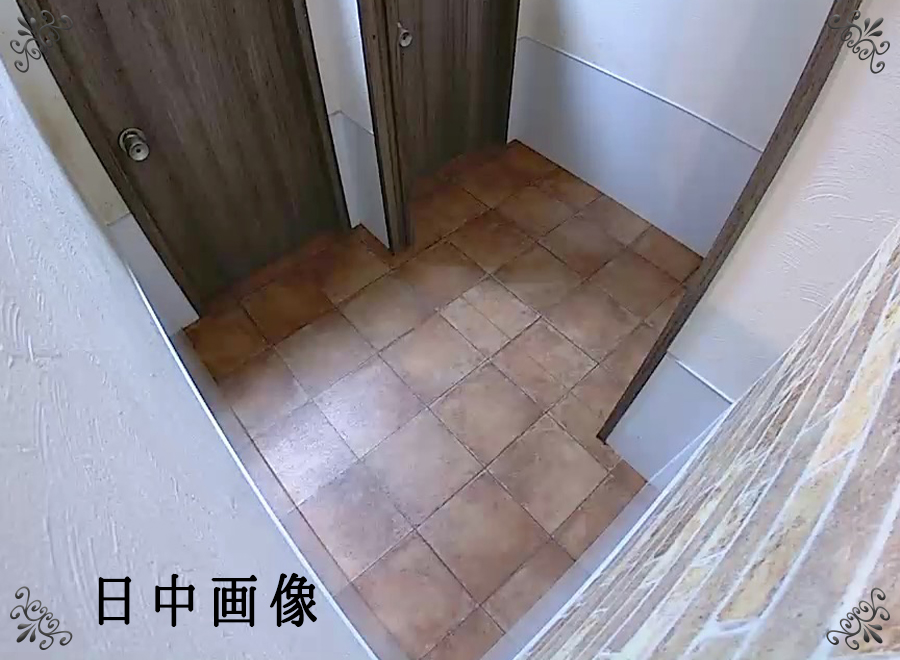 カメラからの日中画像