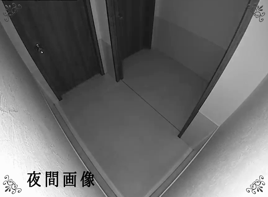 カメラからの夜間画像