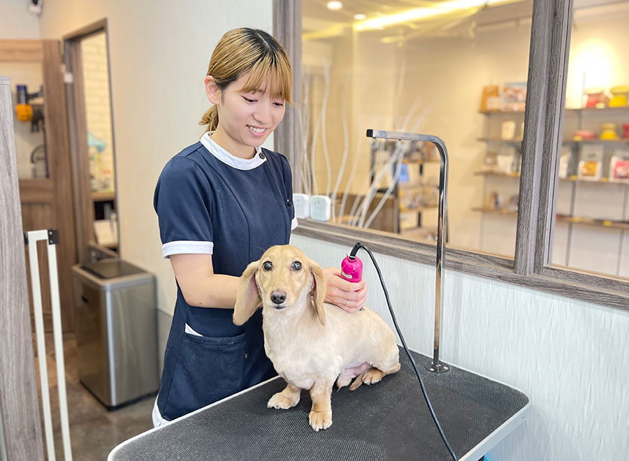 松本梨央