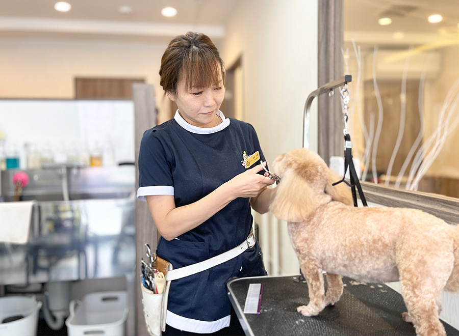 有賀千恵