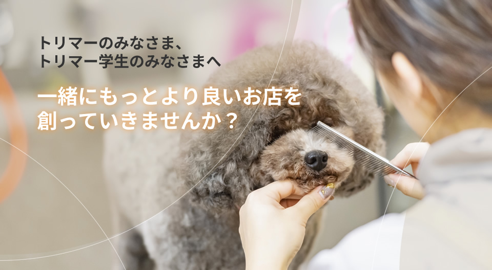 採用情報イメージ画像