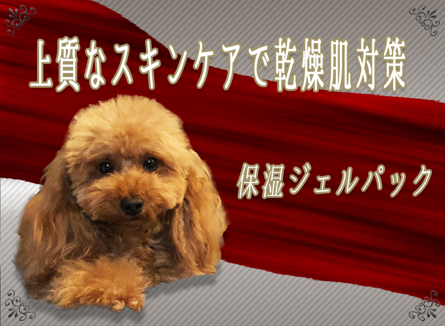 オプション写真１