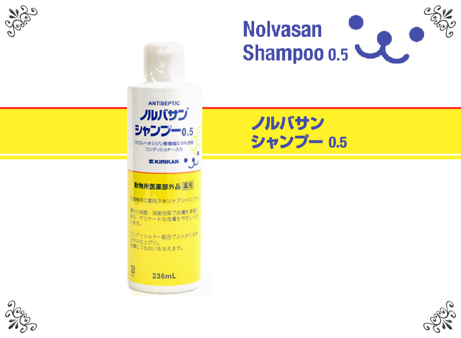 オプション写真１